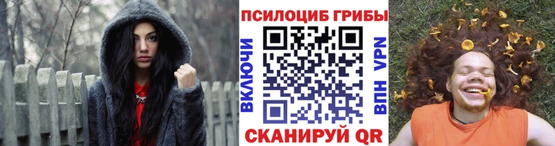 купить наркотики цена  Пошехонье  Галлюциногенные грибы Psilocybine cubensis 